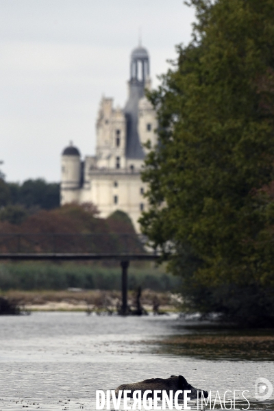 Le Domaine National de Chambord fête ses 500 ans