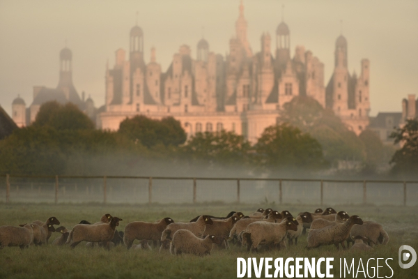 Le Domaine National de Chambord fête ses 500 ans