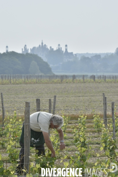 Le Domaine National de Chambord fête ses 500 ans