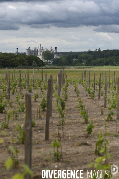 Le Domaine National de Chambord fête ses 500 ans