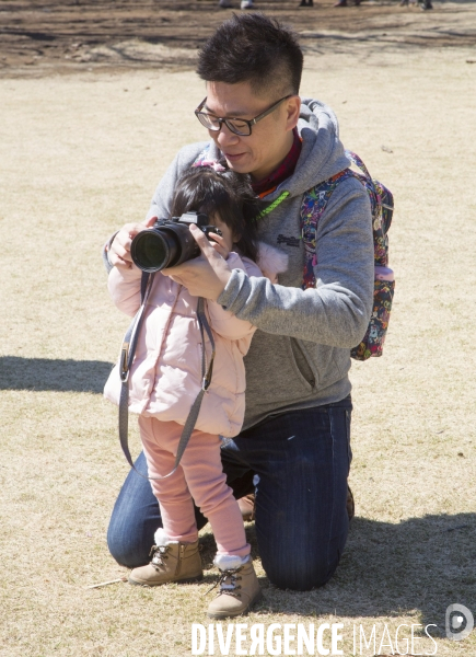 Un pere apprend la photo a sa fille a tokyo