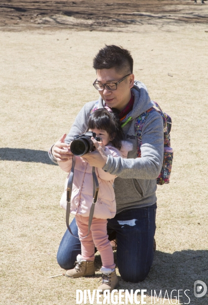 Un pere apprend la photo a sa fille a tokyo