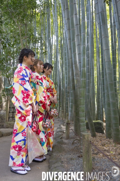 Kimonos dans une foret de bambous au japon