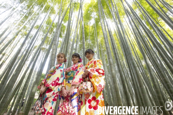 Kimonos dans une foret de bambous au japon