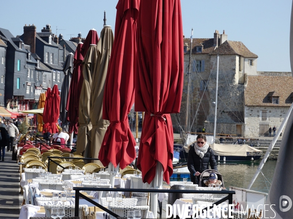 Vieux  Bassin,Honfleur