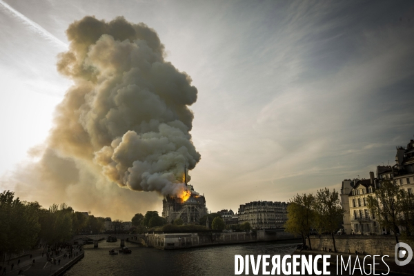 La cathédrale Notre-Dame en feu