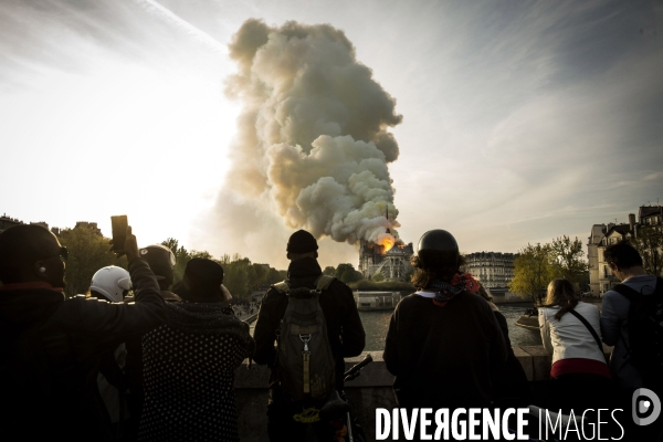 La cathédrale Notre-Dame en feu
