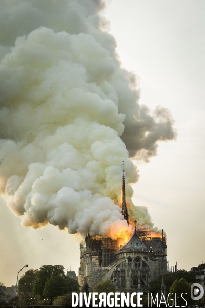 La cathédrale Notre-Dame en feu