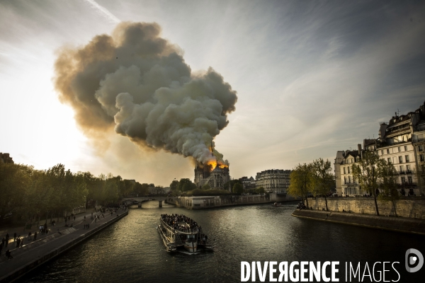 La cathédrale Notre-Dame en feu