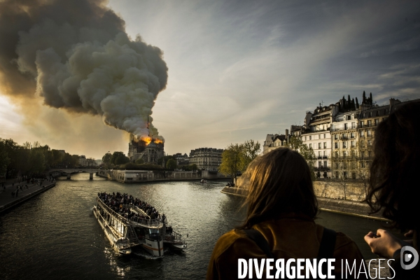 La cathédrale Notre-Dame en feu