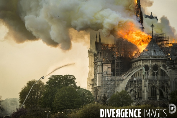 La cathédrale Notre-Dame en feu