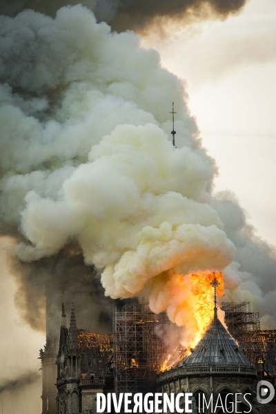 La cathédrale Notre-Dame en feu