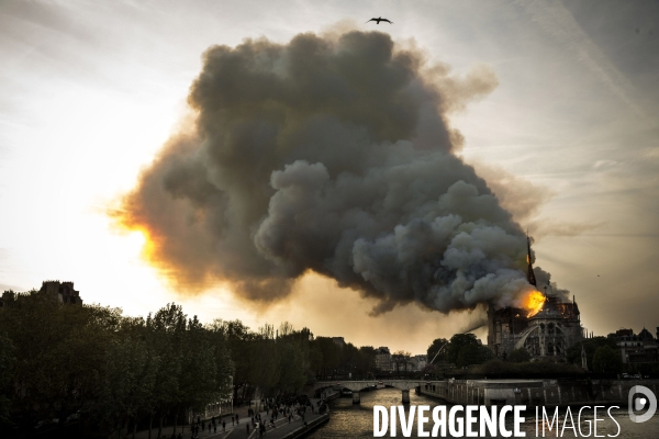 La cathédrale Notre-Dame en feu