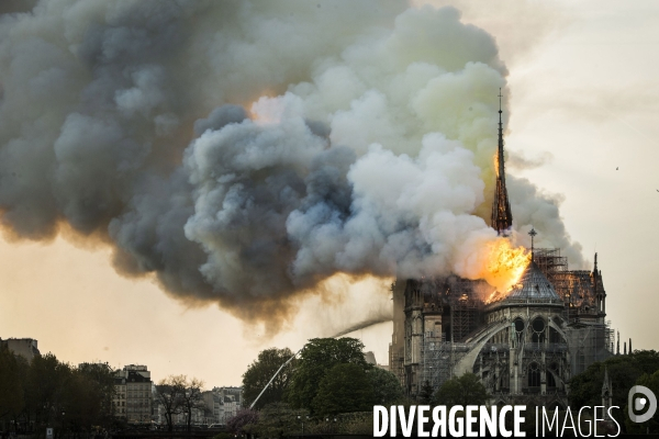 La cathédrale Notre-Dame en feu