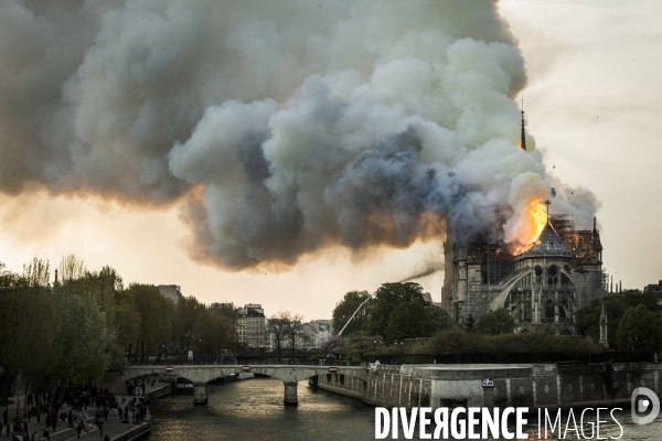 La cathédrale Notre-Dame en feu