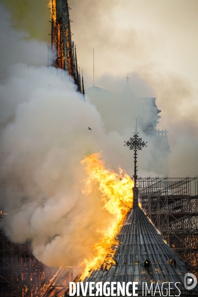 La cathédrale Notre-Dame en feu