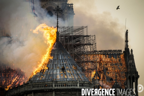 La cathédrale Notre-Dame en feu