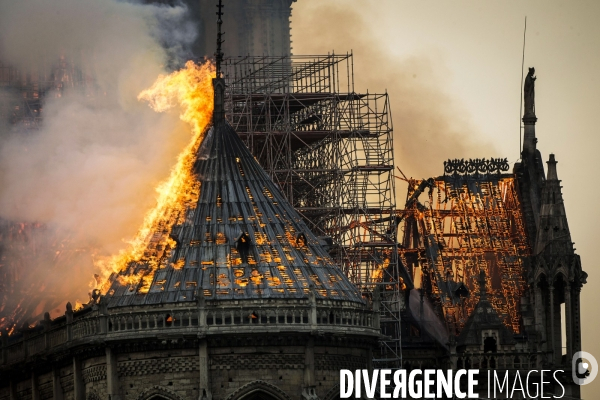 La cathédrale Notre-Dame en feu