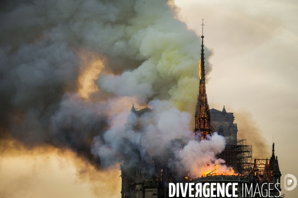 La cathédrale Notre-Dame en feu