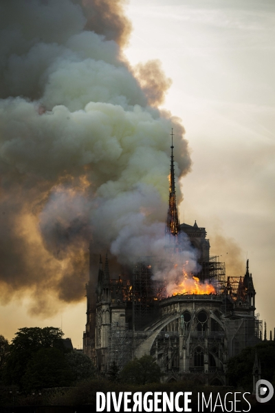 La cathédrale Notre-Dame en feu