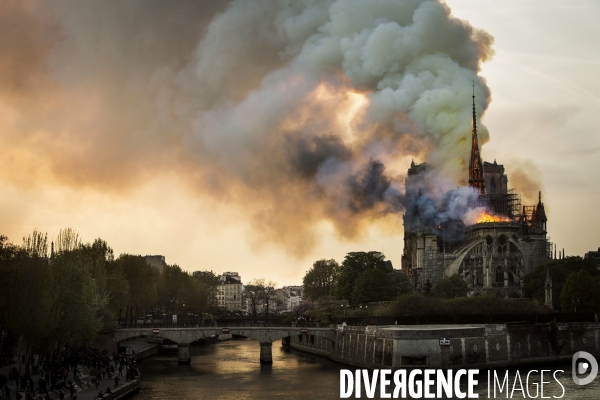 La cathédrale Notre-Dame en feu