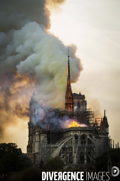 La cathédrale Notre-Dame en feu