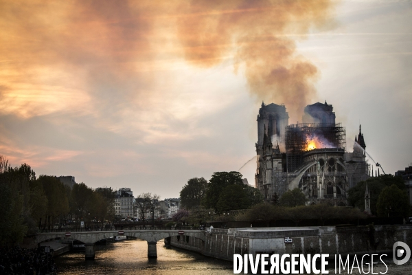 La cathédrale Notre-Dame en feu