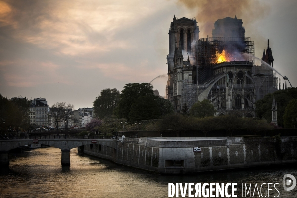 La cathédrale Notre-Dame en feu