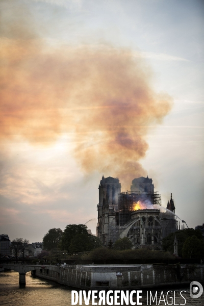 La cathédrale Notre-Dame en feu