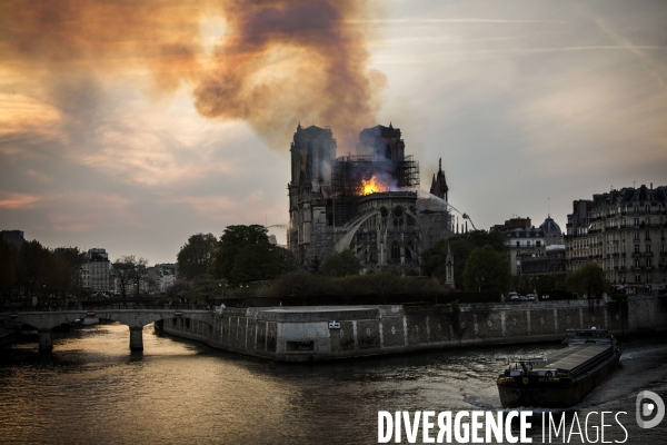 La cathédrale Notre-Dame en feu