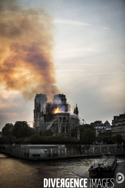 La cathédrale Notre-Dame en feu