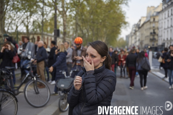 Incendie Notre Dame de Paris