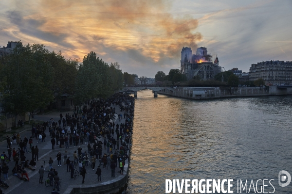 Incendie Notre Dame de Paris