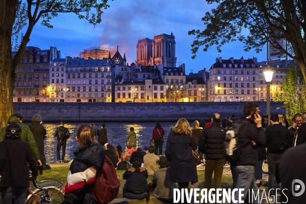 Incendie Notre Dame de Paris