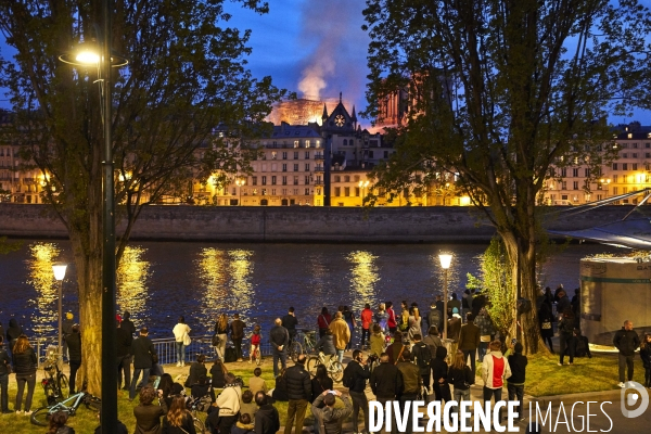 Incendie Notre Dame de Paris