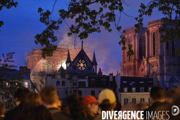 Incendie Notre Dame de Paris