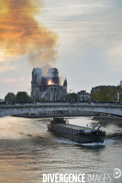 Incendie de la Cathédrale Notre-Dame de Paris. Fire of Notre-Dame Cathedral