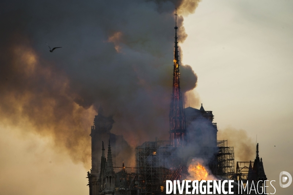 La cathédrale Notre-Dame en feu