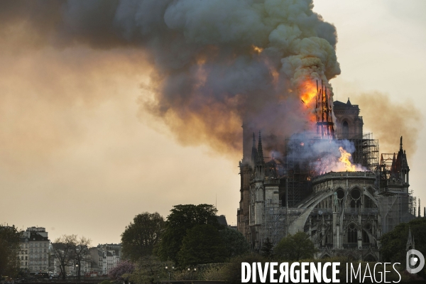 La cathédrale Notre-Dame en feu