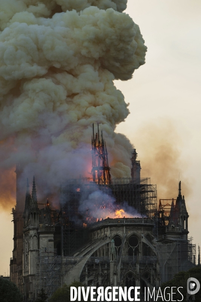 La cathédrale Notre-Dame en feu