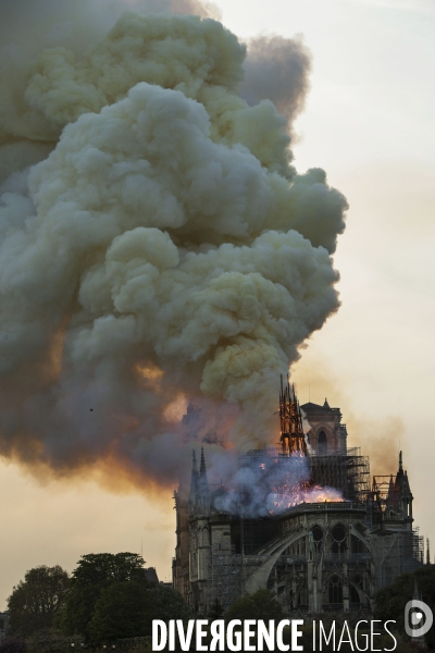 La cathédrale Notre-Dame en feu