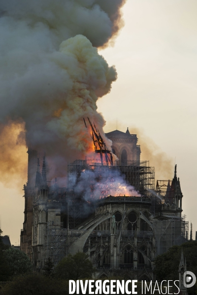La cathédrale Notre-Dame en feu