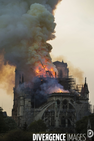 La cathédrale Notre-Dame en feu