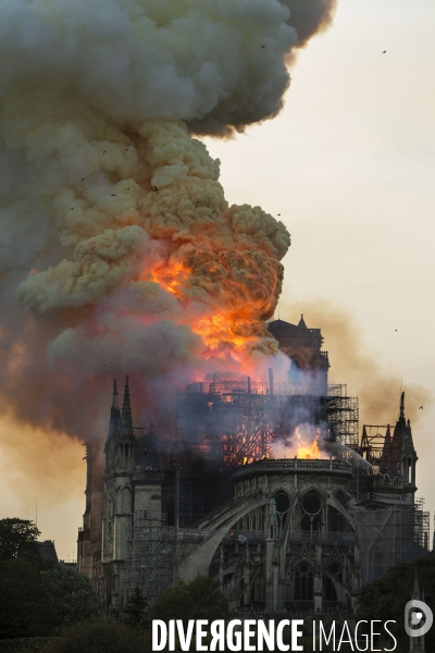 La cathédrale Notre-Dame en feu