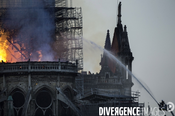 La cathédrale Notre-Dame en feu