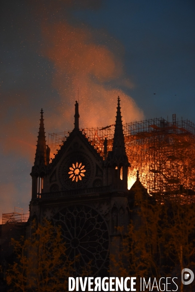 Incendie à Notre-Dame de Paris.