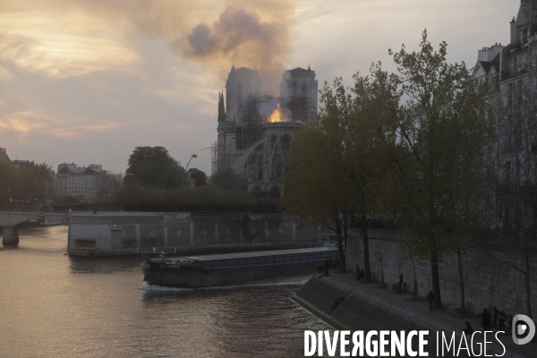 Notre-Dame en feu