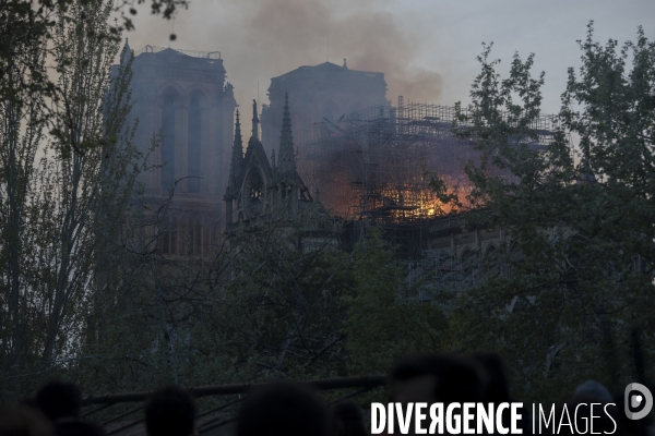 Notre-Dame en feu