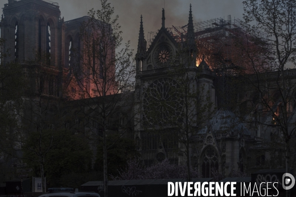 Notre-Dame en feu