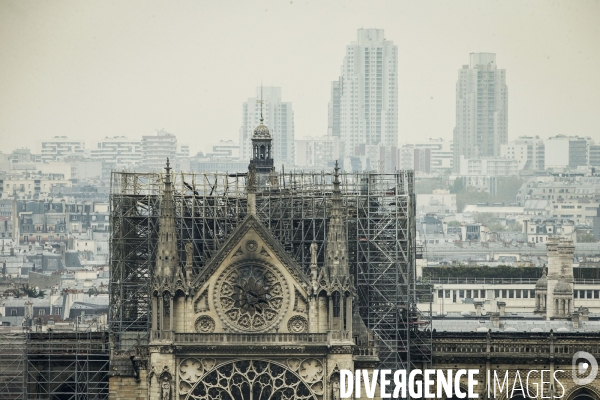 Notre-Dame de Paris, le jour d après l incendie.